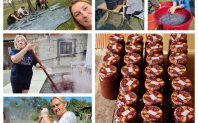 Članice Upravnog odbora sv. Agata- Glina pripremale su pekmez za onko članice