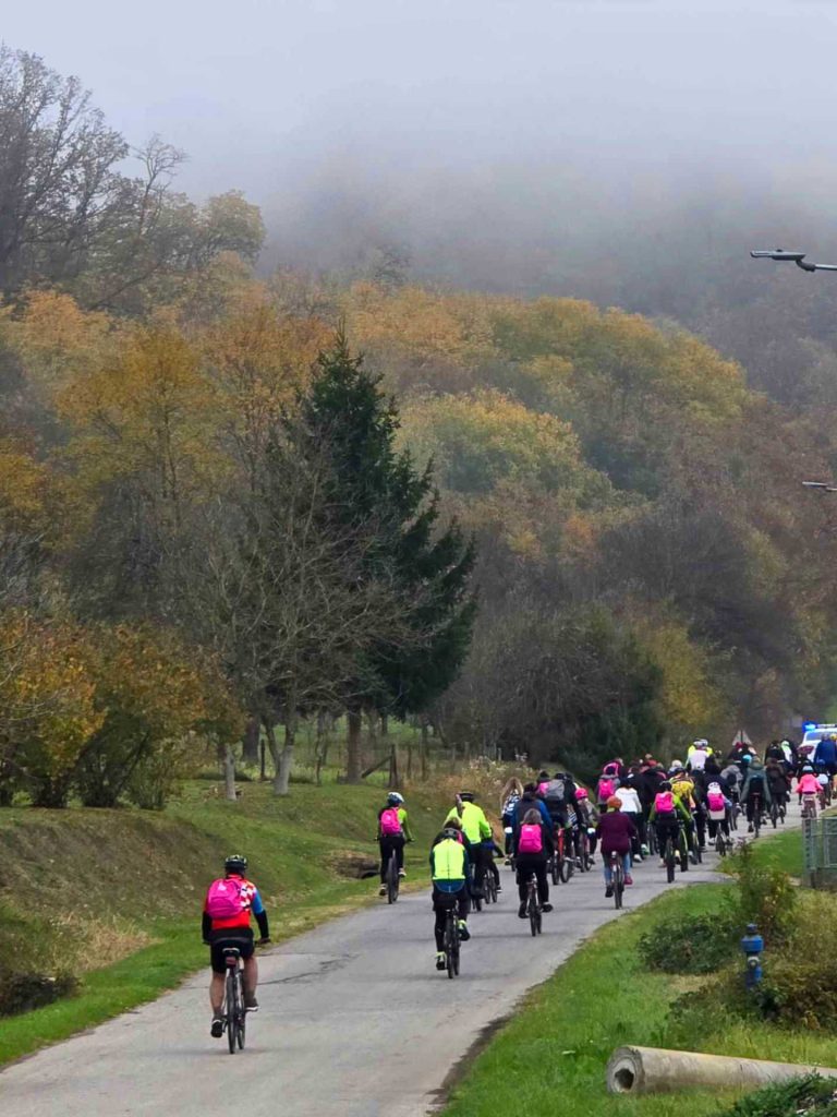 Biciklijada „Pedalu okreni – sebe pokreni“