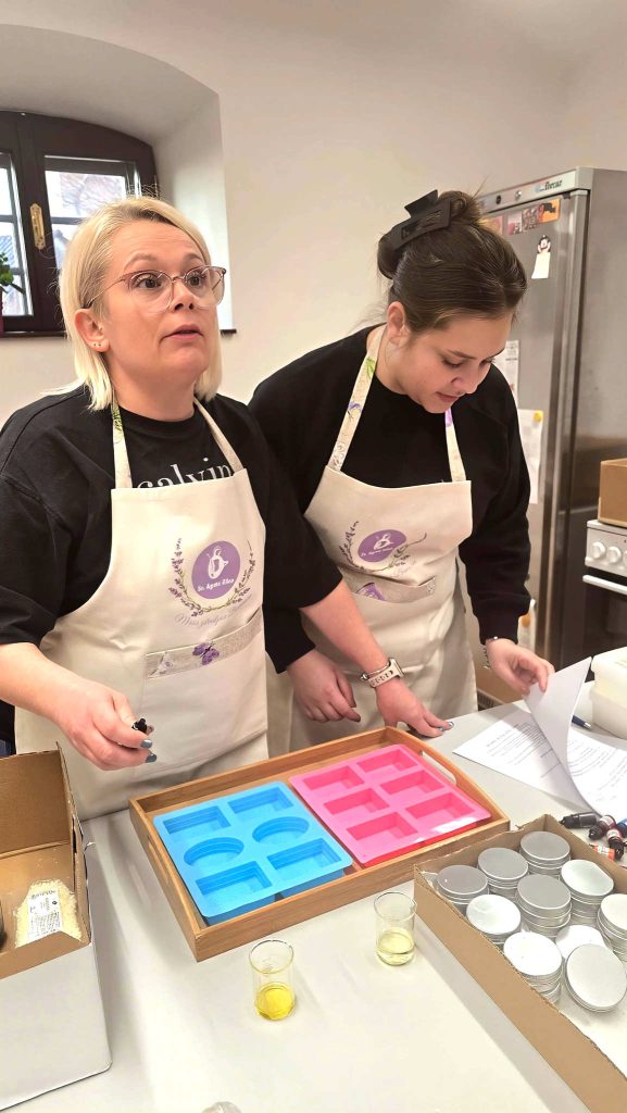 Radionica prirodne kozmetike